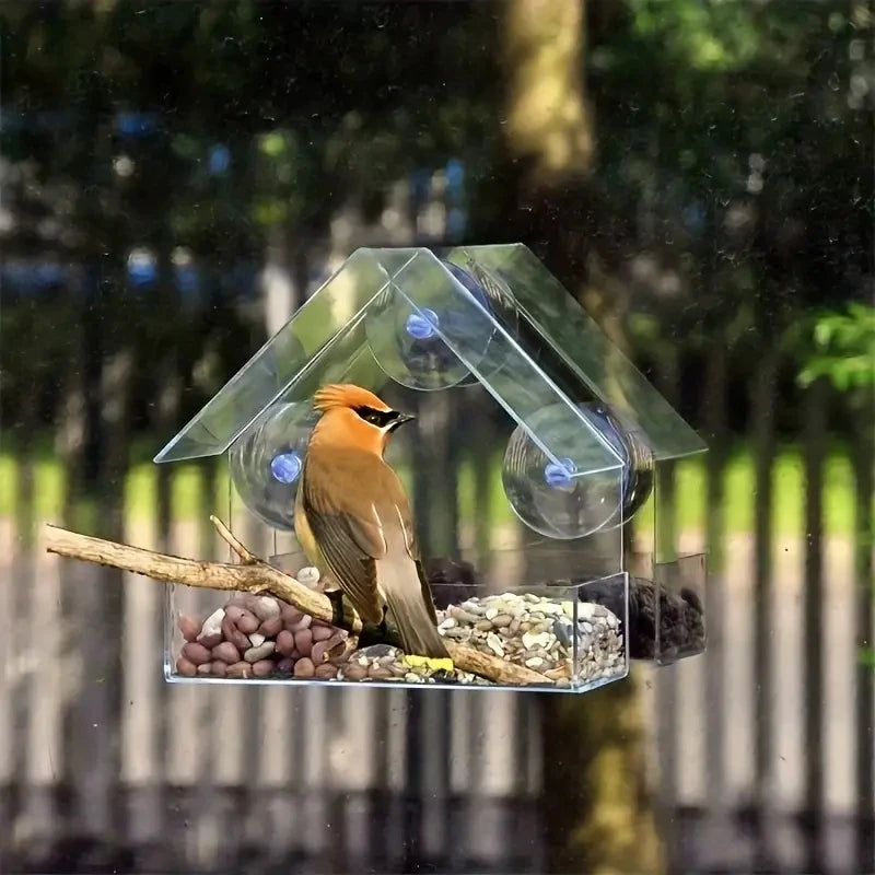 Acrylic Bird Feeder. Clear Window Outside Hanging Bird Feeder House with Suction Cup for Garden. Outdoor Backyard Wildlife Birding