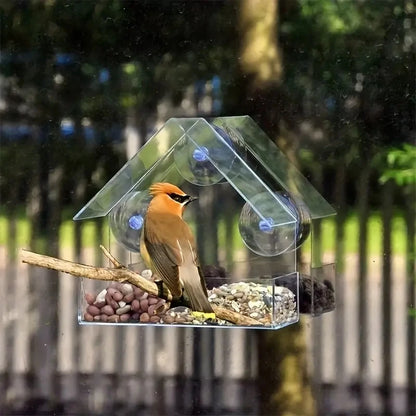 Acrylic Bird Feeder. Clear Window Outside Hanging Bird Feeder House with Suction Cup for Garden. Outdoor Backyard Wildlife Birding