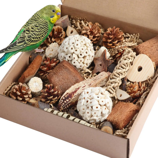 Bird Toys. Parrot Natural Bird Foraging Box. Foot Toys for Parakeets, Cockatiels, Conures, Love Birds and Other Small to Medium Birds