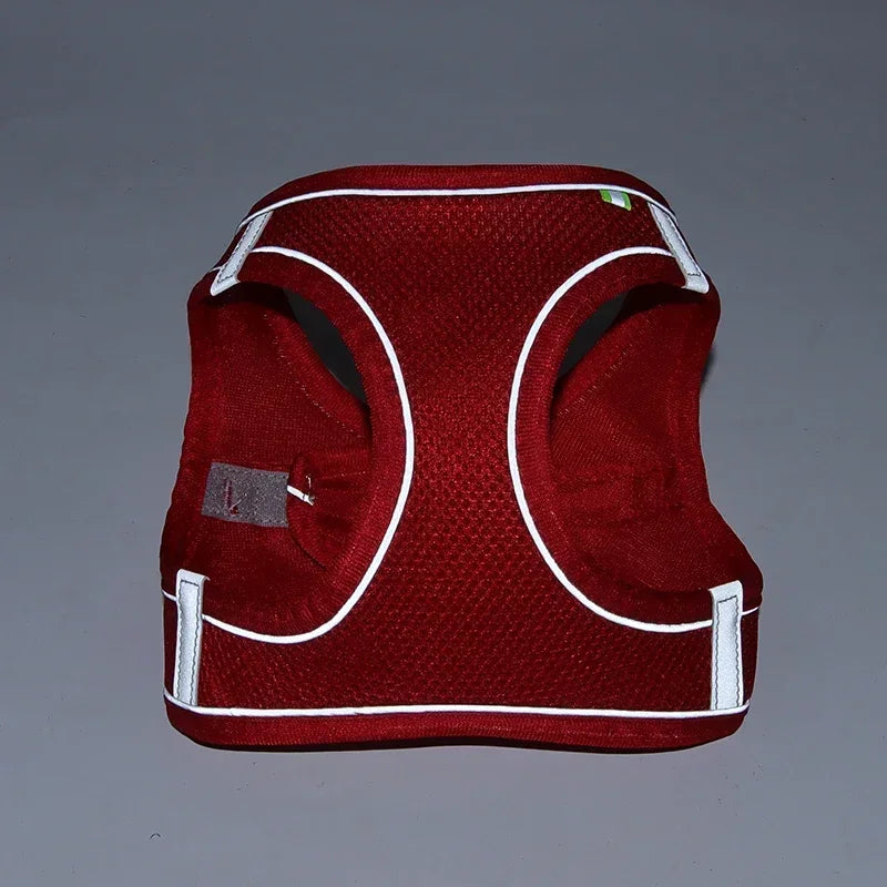 Puppy Harness Set. Adjustable Puppy and Cat Harness Vest. Small Dog Collar Pet Leash
