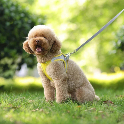 Puppy Harness Set. Adjustable Puppy and Cat Harness Vest. Small Dog Collar Pet Leash