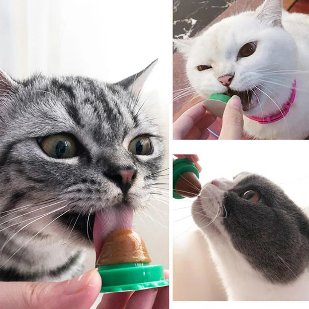 5/10Pcs Catnip Wall Ball. Cat Nip Treats. Lickable Pet Catnip. Candy Ball for Help with Digestion