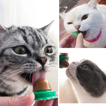 5/10Pcs Catnip Wall Ball. Cat Nip Treats. Lickable Pet Catnip. Candy Ball for Help with Digestion