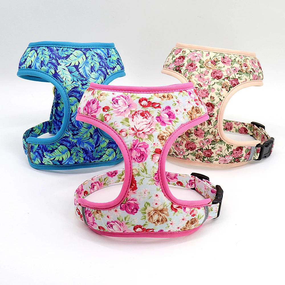 Cute Printed Dog Harness Leash Set. Soft Mesh Puppy or Cat Harness. Adjustable Walking Lead For Small & Medium Dogs & Cats