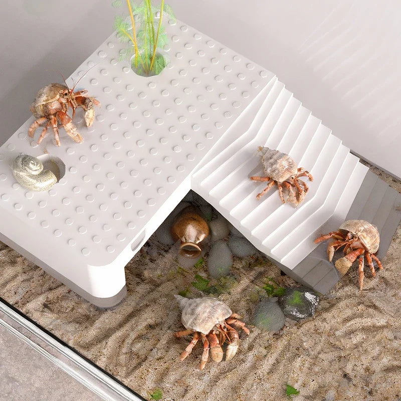 Transparent Reptile Terrarium Tank with Basking Area for Pet Turtles, Hermit Crabs, Tortoise - Turtle Adoption Habitat