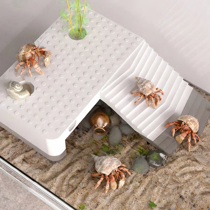 Transparent Reptile Terrarium Tank with Basking Area for Pet Turtles, Hermit Crabs, Tortoise - Turtle Adoption Habitat