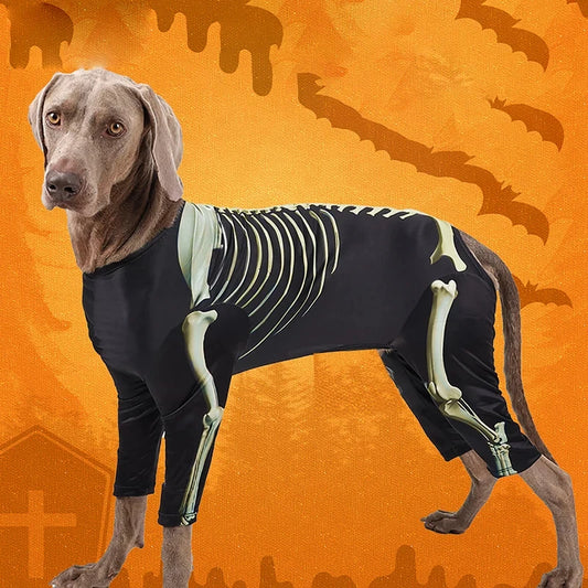 Pet Dog Halloween Costume. Skeleton Dog. Transformation Outfit. Comfortable and Cool Large Dog Clothes.