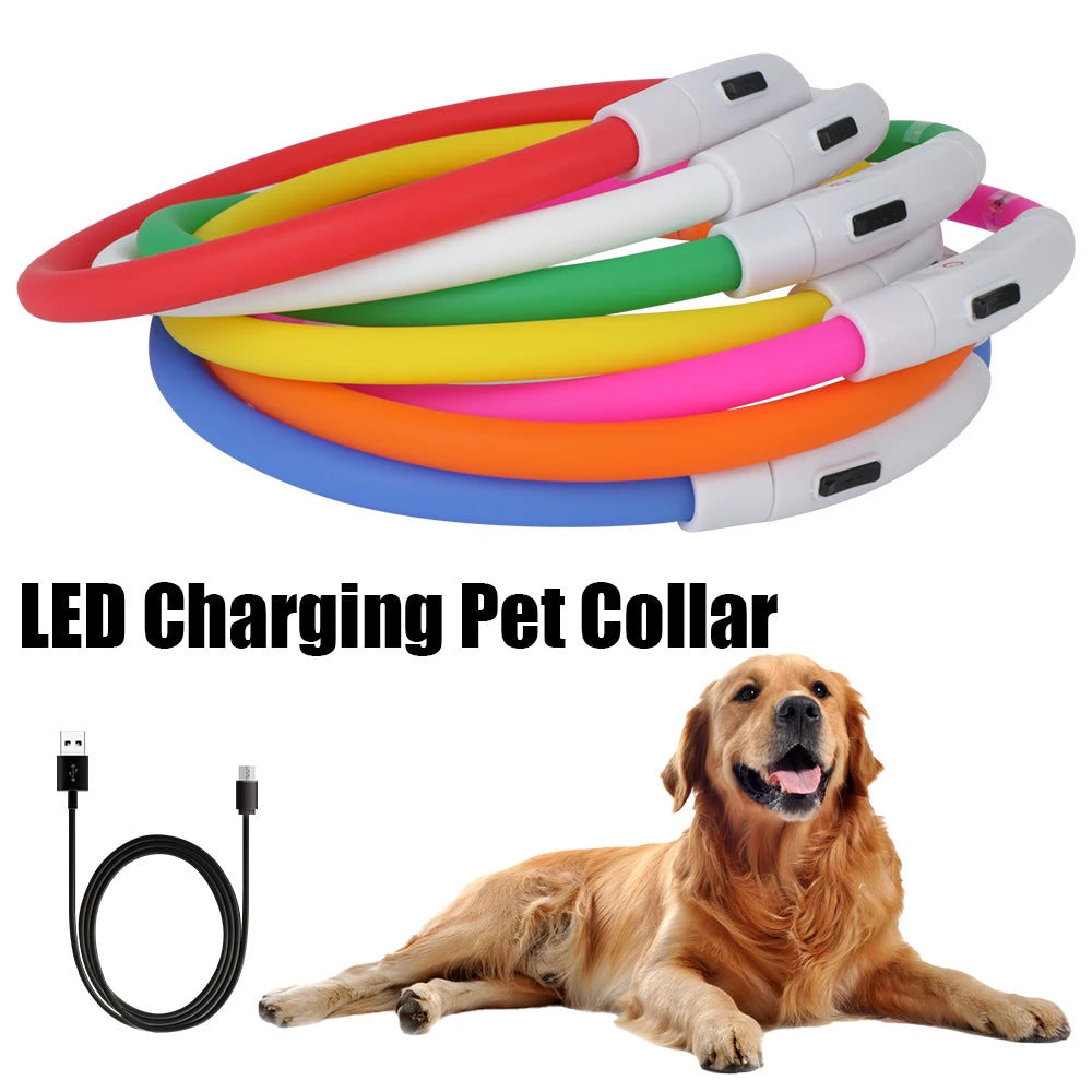 Dog Loss Prevention Led/Usb Dog Collar. Pet Accessories. Night Safety, Flashing Glow  Collar. Night Luminous Charge Collar