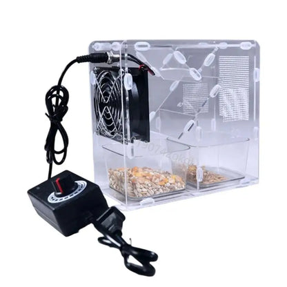 High Efficiency Bird Seed Processor Shell Split Machine with Adjustable Speed T4MC