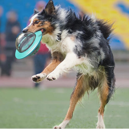 Interactive Dog Toy. Treat Dispenser for Small, Medium and Large Dogs/Cats. Outdoor Training.