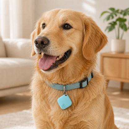 Pet Tracker Device for Cats And Dogs. Anti-Lost Tracking Locator for Small And Large Breeds with GPS