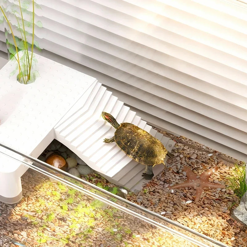 Transparent Reptile Terrarium Tank with Basking Area for Pet Turtles, Hermit Crabs, Tortoise - Turtle Adoption Habitat