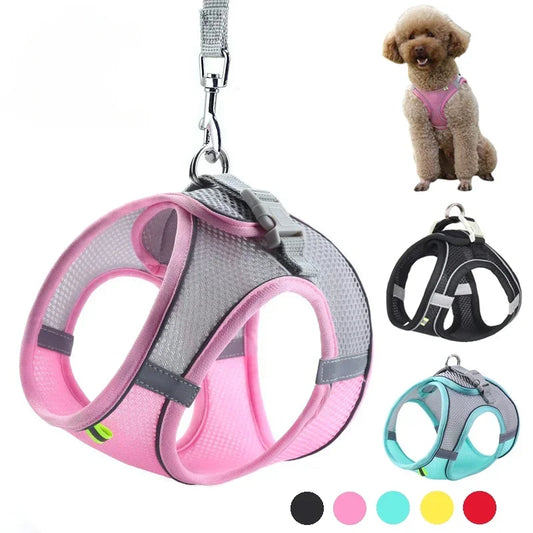 Puppy Harness Set. Adjustable Puppy and Cat Harness Vest. Small Dog Collar Pet Leash