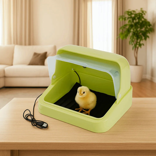Visual Bird Incubator. 3-speed Adjustment, Adjustable Heat Chick Brooder. Thermostat Controlled Bird Brooding Box Poultry Habitat