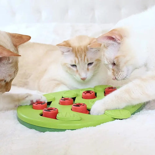 Cat Puzzle Treat Toy. Made of High quality Non toxic Plastic with Playful and Interactive Style. Adjustable Difficulty. Mental