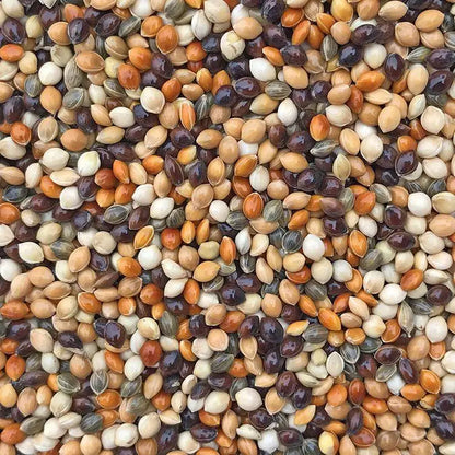 Premium Pet Parrot Bird Seed & Pigeon Food. Selective Wild Bird Supplies.