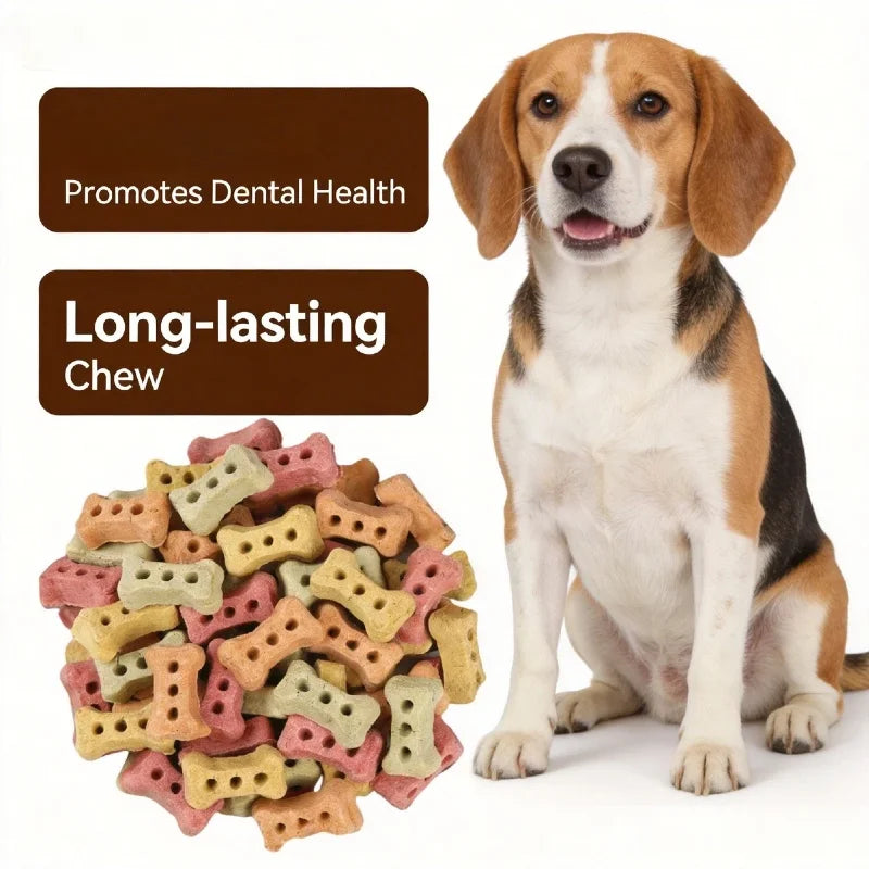 Bone-Shaped Biscuit Treats 240g. Crunchy, Delicious Biscuit Treats. Snack for Dogs.
