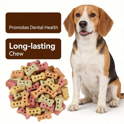 Bone-Shaped Biscuit Treats 240g. Crunchy, Delicious Biscuit Treats. Snack for Dogs.