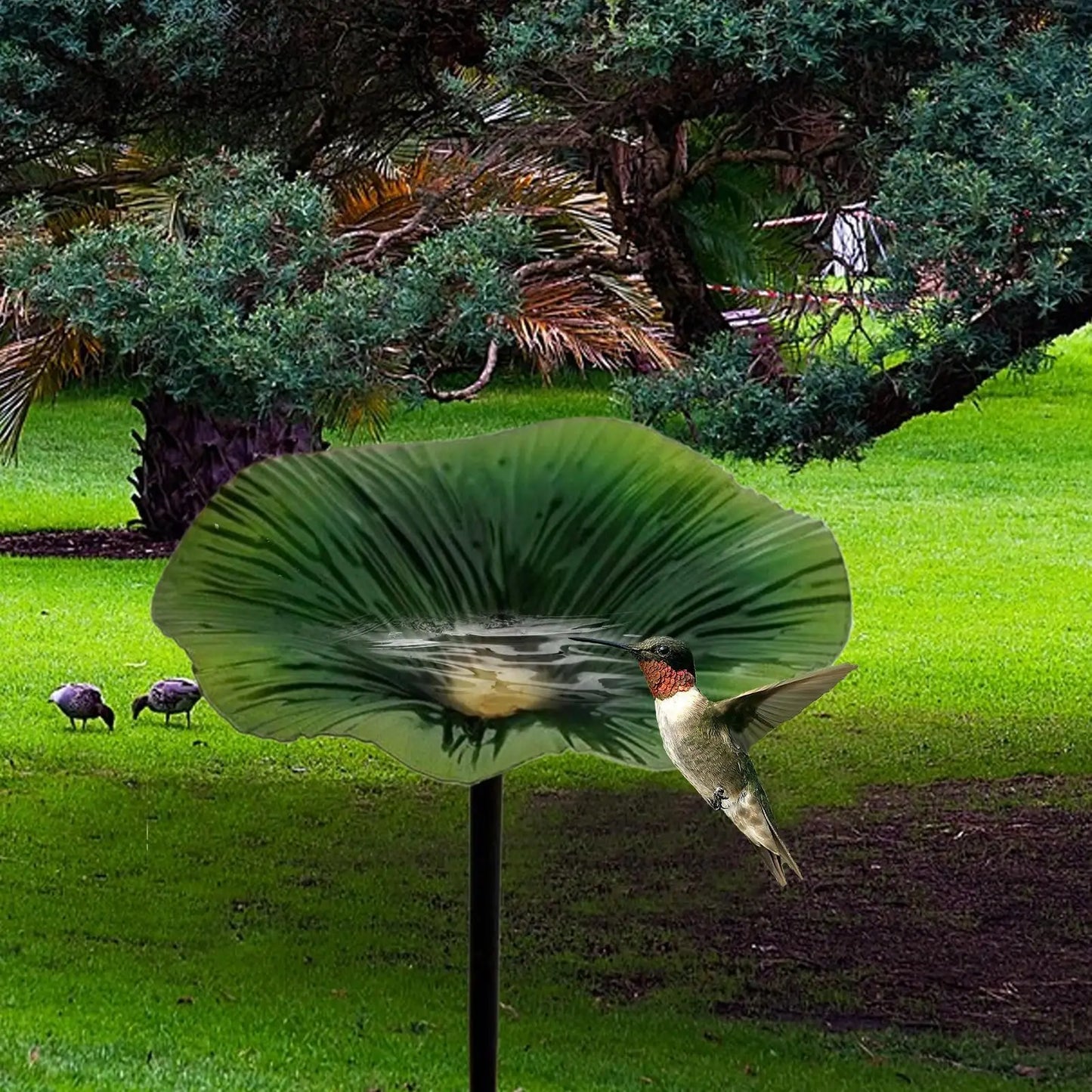 Bird Bath for Outside Garden. Bird Bath Feeder with Metal Stake. Flower Shape Decorative Feeding/Watering Station
