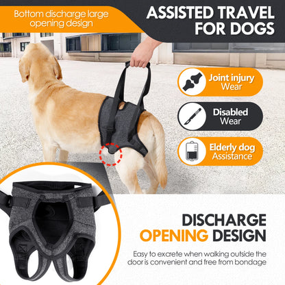 Dog Sling for Large Dogs. Hind Leg Support to Help Rehabilitate The Hind Limbs of Elderly Dogs with Weak Hind Legs & Disabilities