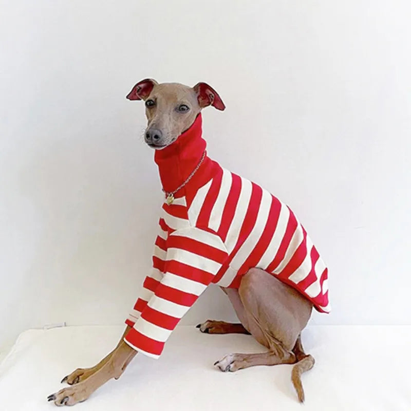 Pet Casual Red Striped Clothing. New Italian Greyhound Spring Summer Dog Clothes.