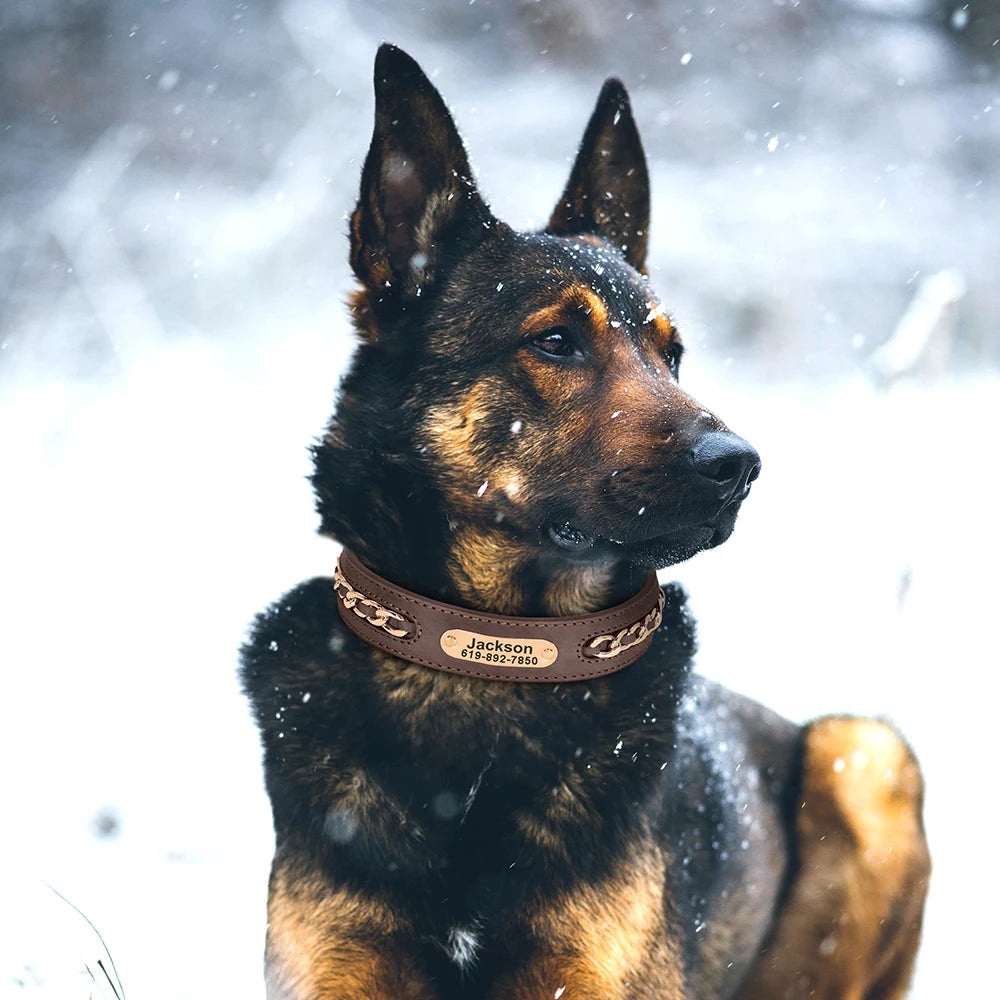 Custom Leather Dog Collar for Big Dogs. Genuine Leather ID Collar, Free Engraved Name For Small, Medium and Large Dogs. Metal Design