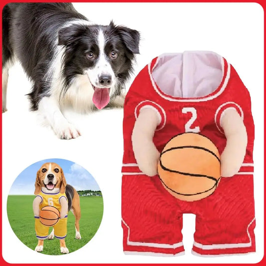 Dog Basketball Player Costume with Ball. Pet Halloween Costume. Cosplay Costume