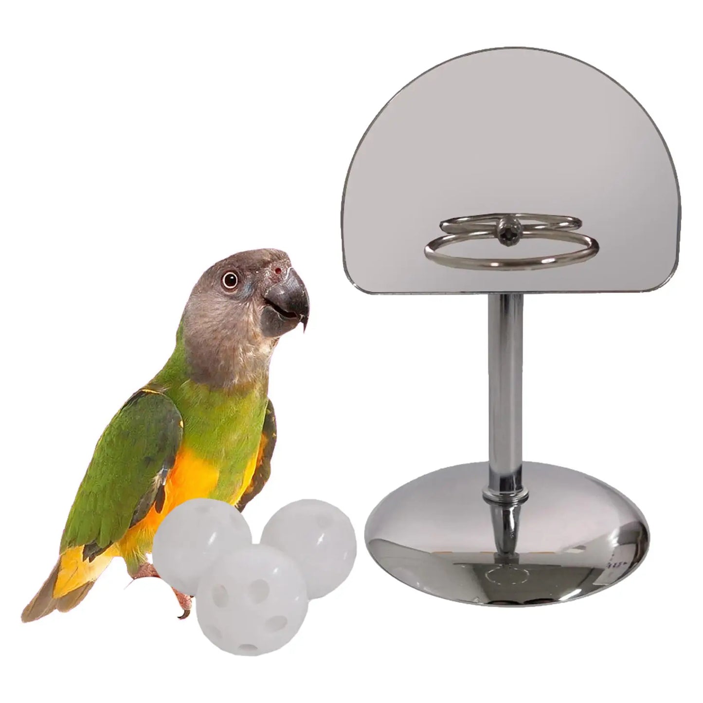 Bird Training Toys. Parrot Cage Supplies. African Grey Trick Prop. Small Birds, Conures, Lovebirds, Budgie, Parrot Toys for Basketball