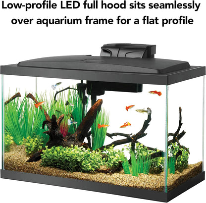 10 Gallon Fish Tank Starter Kit with LED Light, Filter, Heater & Accessories for Beginners
