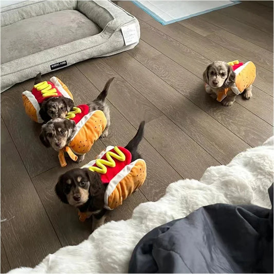 Funny Halloween Dog Costumes. Hot Dog Shaped Dachshund Sausage. Adjustable
