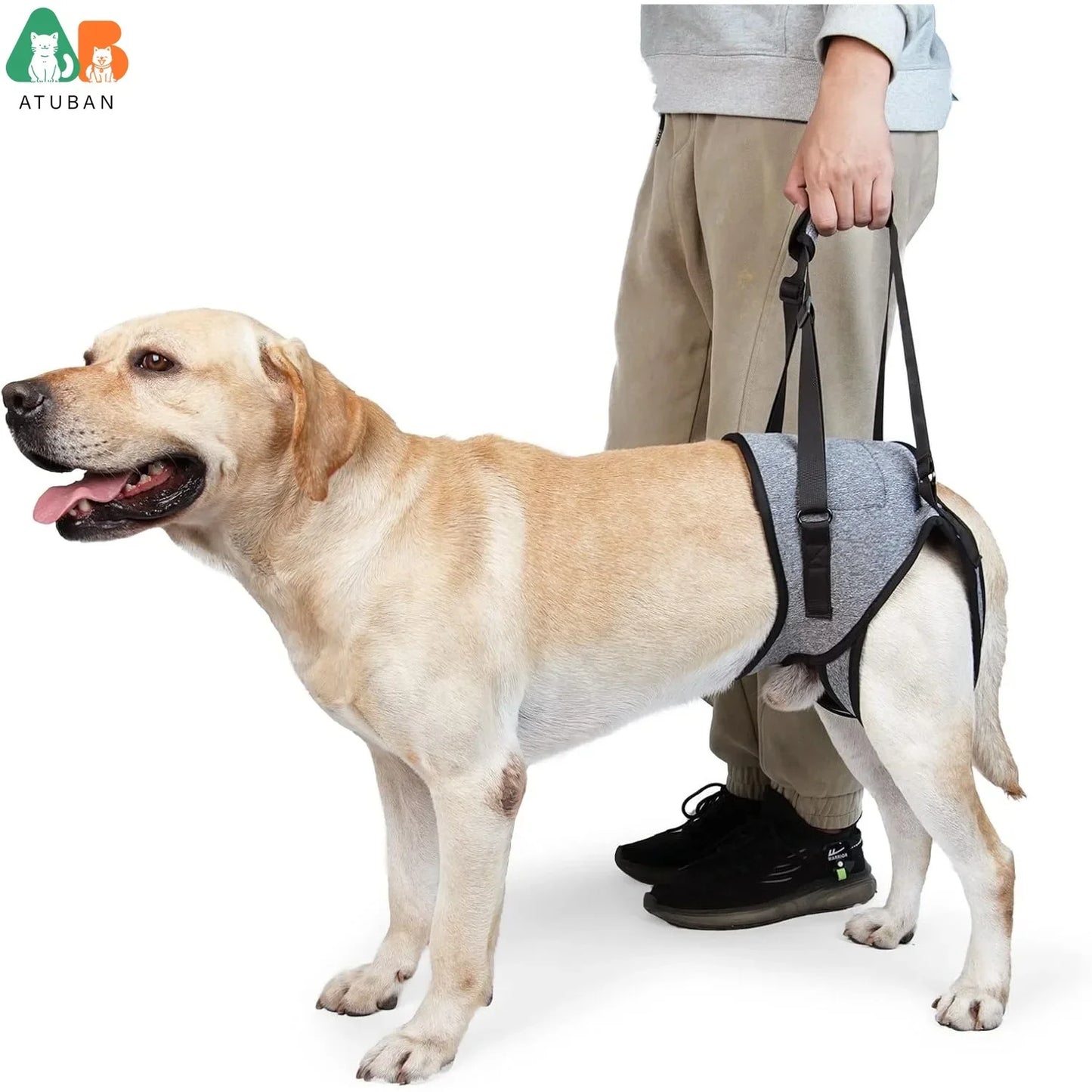 Dog Sling for Dogs.. Hind Leg Support to Help Rehabilitate The Hind Limbs of Elderly Dogs. Weak Hind Legs, Disabilities and Injuries