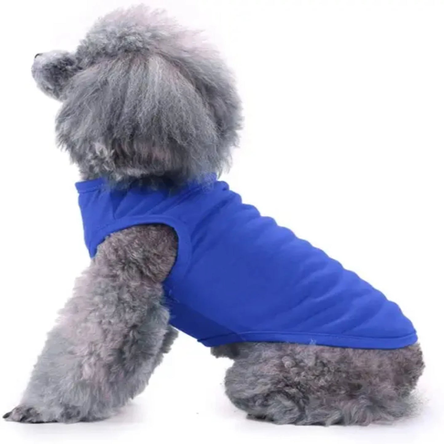 Dog Shirt Clothes, Spring Summer T Shirt Apparel. Soft Blank Shirts Clothes.  Extra Small/ Medium /Large/ Extra Large Size