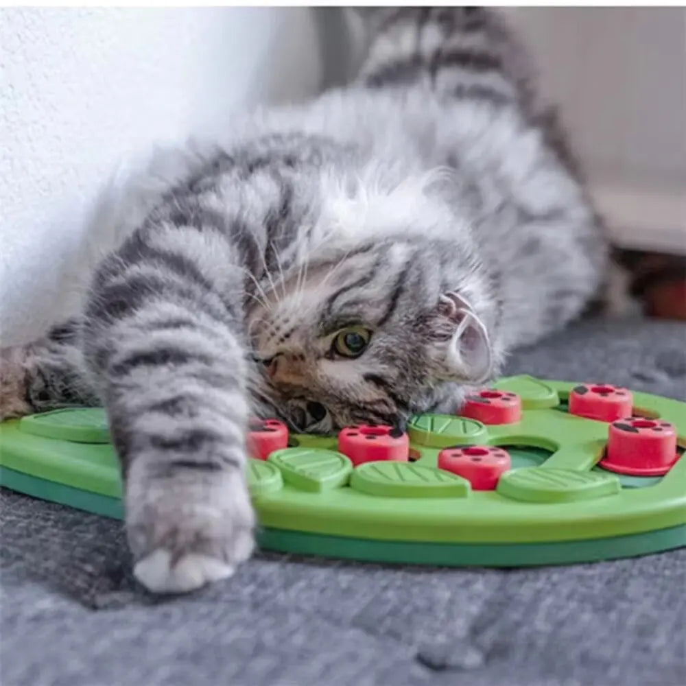 Cat Puzzle Treat Toy. Made of High quality Non toxic Plastic with Playful and Interactive Style. Adjustable Difficulty. Mental
