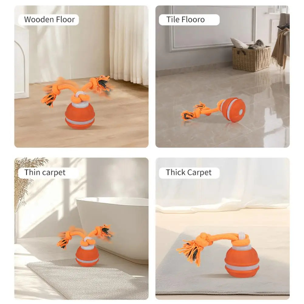 Pet Ball for Dogs. Interactive Toys. Motion Activate Rolling Ball for Puppy/Small Dogs. Automatic Moving Toy. USB Rechargeable Toy