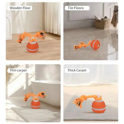 Pet Ball for Dogs. Interactive Toys. Motion Activate Rolling Ball for Puppy/Small Dogs. Automatic Moving Toy. USB Rechargeable Toy