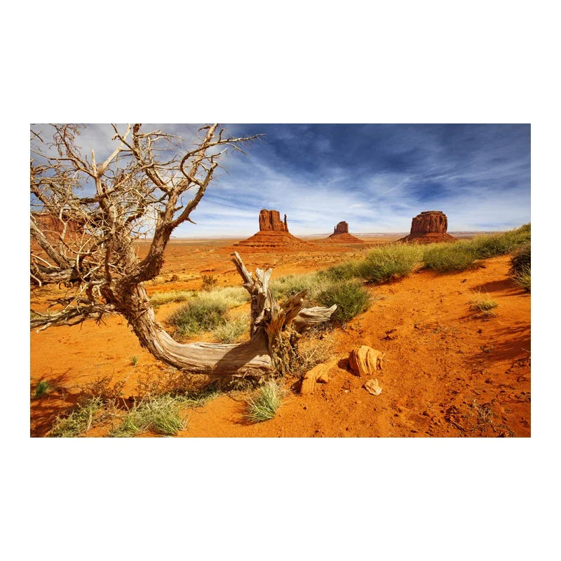 Decoration  Aquarium Background Poster Desert Landscape. Self Adhesive Fish Tank Backing
