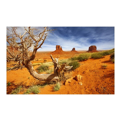 Decoration  Aquarium Background Poster Desert Landscape. Self Adhesive Fish Tank Backing