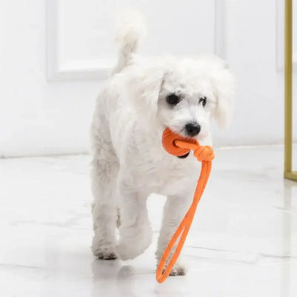 Dog Training Ball on Rope. Cotton Rope Ball. Nontoxic, Durable Interactive Dog Toy for Big/ Small Dogs. Catching/Throwing /Tugging