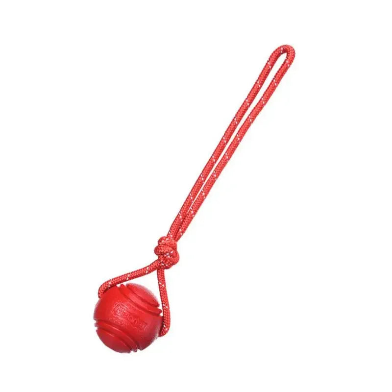 Dog Training Ball on Rope. Cotton Rope Ball. Nontoxic, Durable Interactive Dog Toy for Big/ Small Dogs. Catching/Throwing /Tugging