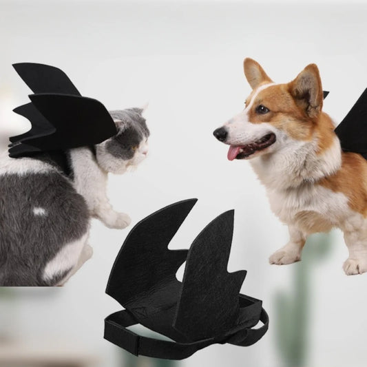Dog Costumes. Bat Wings. Chest and Back Strap. Pet Costume for Halloween. Halloween Pet Decoration