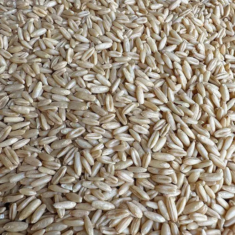 Premium Pet Parrot Bird Seed & Pigeon Food. Selective Wild Bird Supplies.