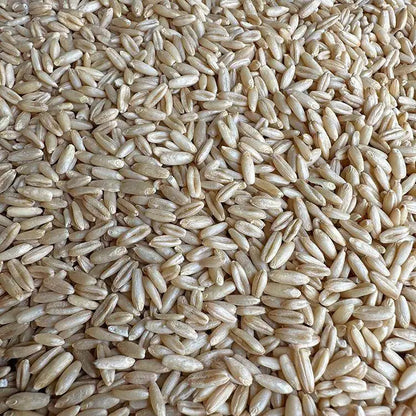 Premium Pet Parrot Bird Seed & Pigeon Food. Selective Wild Bird Supplies.