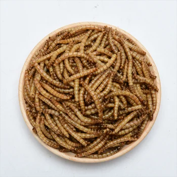 Fish Food Dried Mealworms. 100%Pure Natural Bulk. Wholesale Birds/ Fish. Small Pet Food