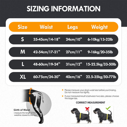 Dog Sling for Large Dogs. Hind Leg Support to Help Rehabilitate The Hind Limbs of Elderly Dogs with Weak Hind Legs & Disabilities