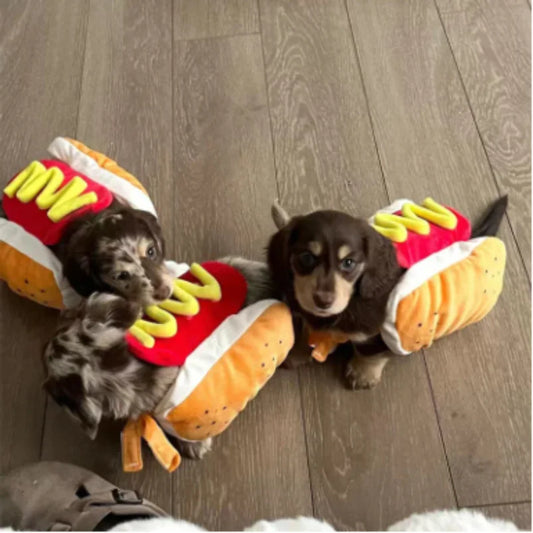 Funny Halloween Dog Costumes. Hot Dog Shaped Dachshund Sausage. Adjustable