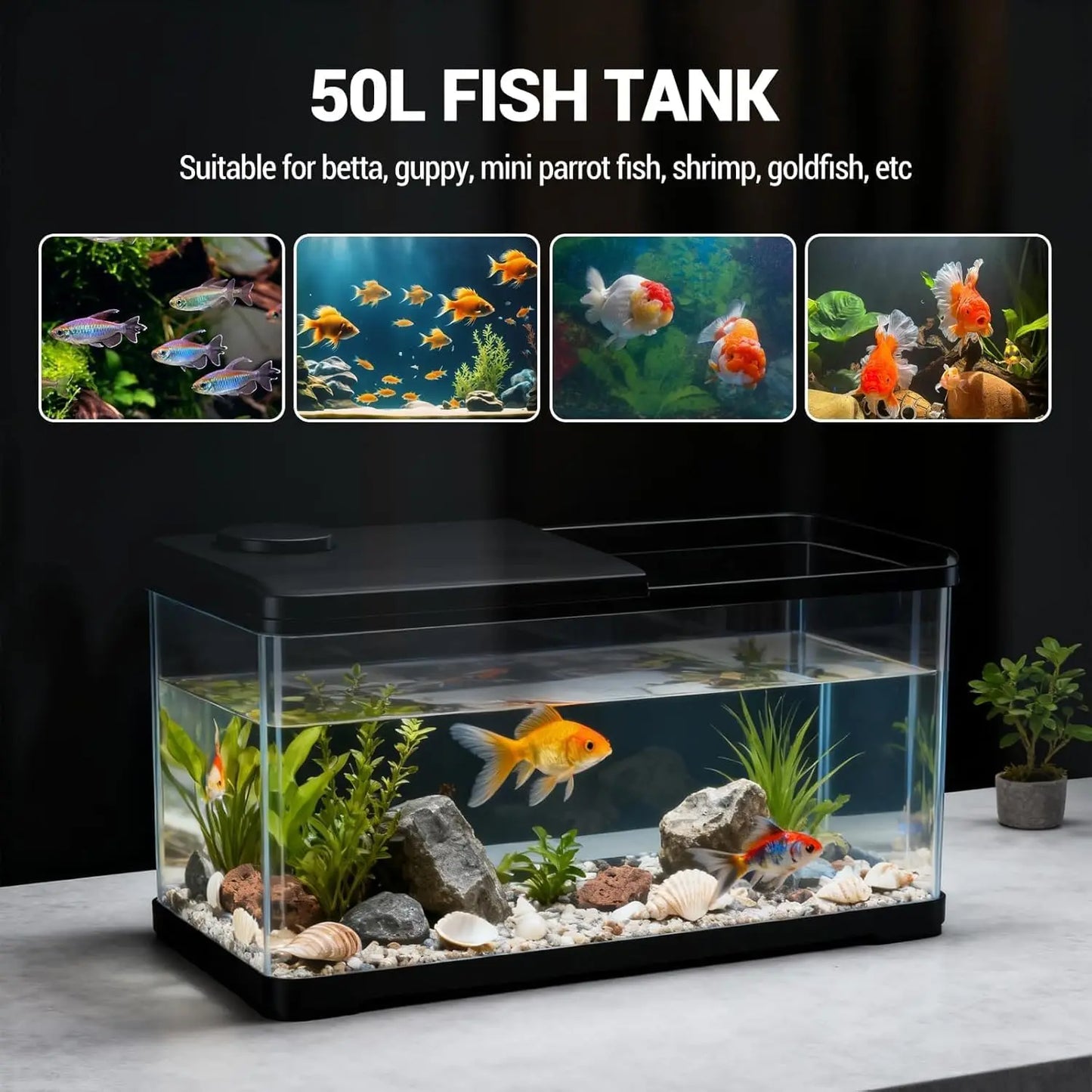 GarveeLife 13-Gallon Aquarium Kit – Complete Fish Tank with LED Light & Lid for Goldfish, Betta & Shrimp