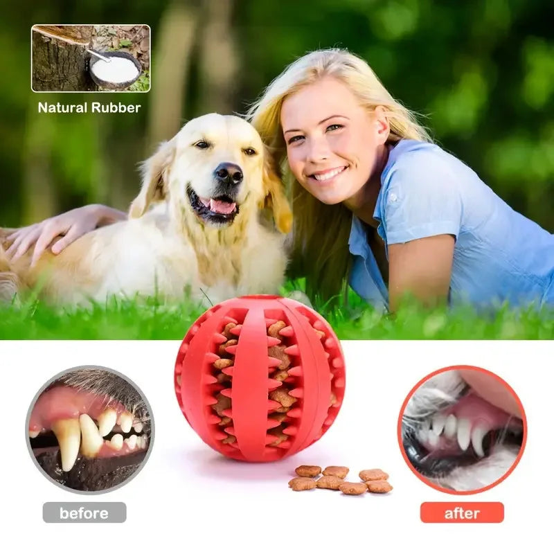Pet Food and Treat Feeder. Dog Ball, Nontoxic, Bite Resistant Interactive Chew Toy. Teeth Cleaning Ball.