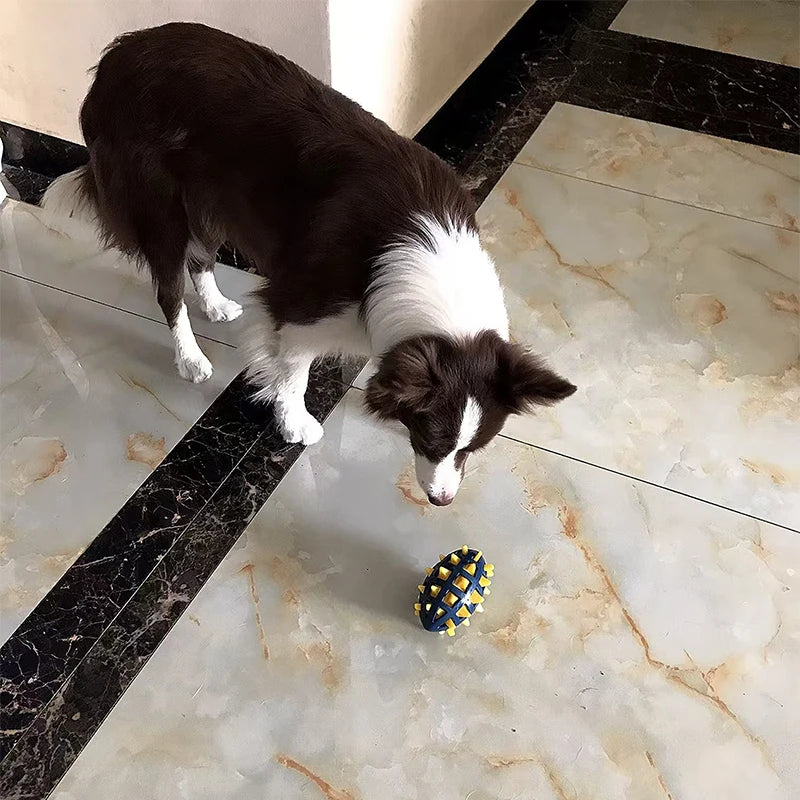 Dog rubber rugby, soft spines, teeth grinding, bite resistance, squeezing, vocalization accompanying large and medium-sized dogs