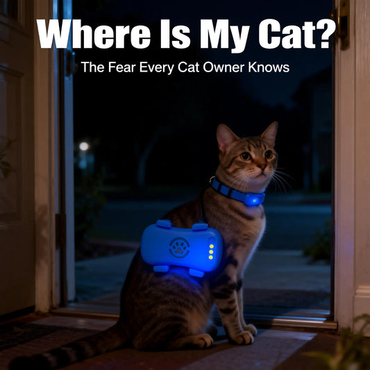4G GPS Cat and Dog Tracker. Global Real-Time Pet Locator with SIM, WiFi Home Mode, Geo-Fence Alert, Lost Pet Finder, 10+ Days Battery