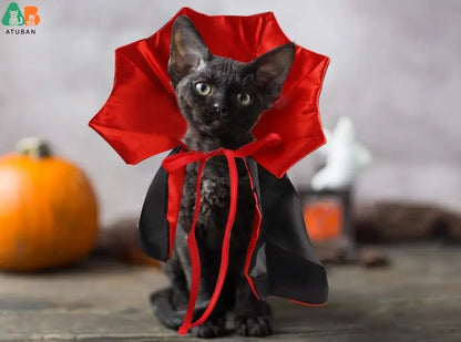 Halloween Cat Vampire Cloak Costume. Adjustable Pet Cape.